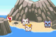 screenshots/Game Boy Advance/Hamtaro - Ham-Ham Heartbreak/Hamtaro - Ham-Ham Heartbreak (Eng) 013.png